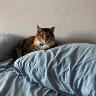 Sophie